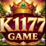 K1177 Game